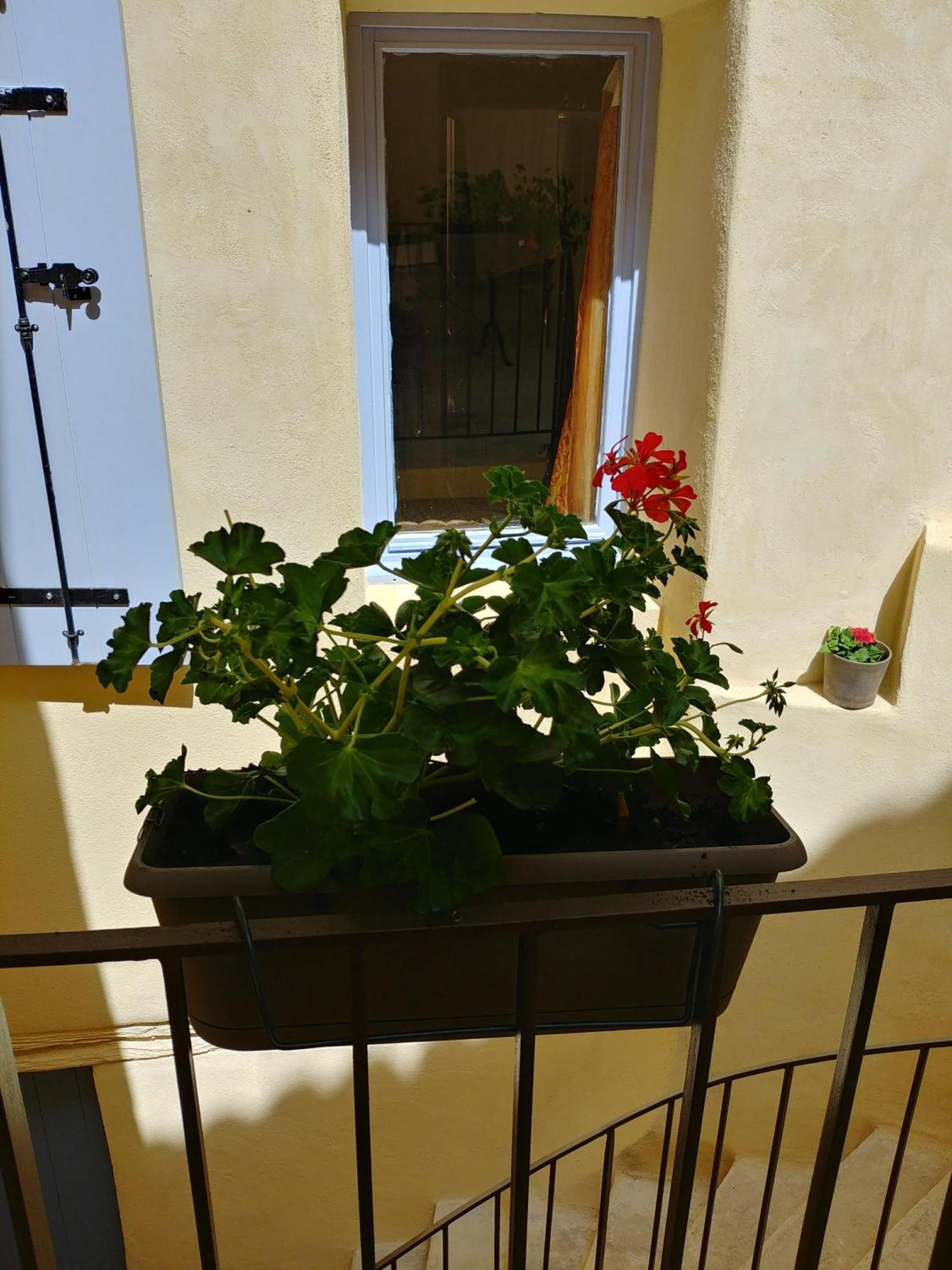 Gite Pilpoil Sault-de-Vaucluse Esterno foto